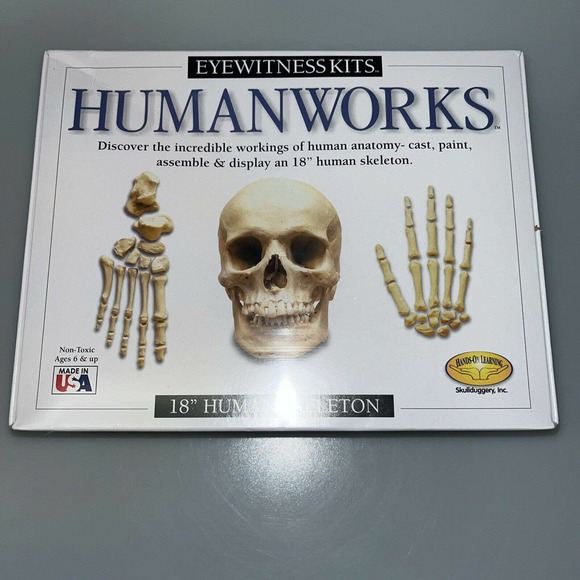 Human Works 18" Human Skeleton Hand On Learning Modeling Kit Eyewitness Kits NEW - Picture 1 of 6
